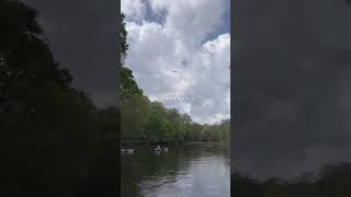 Florida Nature amp Outdoors  Clear Kayaking with Get Up And Go Kayaking  Gilchrist Blue in Florida [upl. by Pazit]