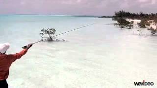 Casting 1  Capt Shawn Leadon  Bonefishing  Andros Island Bonefish Club [upl. by Camella]