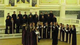 Choir quotBrankoquot Niš  Gusta mi magla padnala [upl. by Ylebmik]