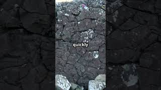 Igneous vs Metamorphic Rocks Whats the Difference [upl. by Leahcam]