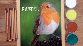 Drawing a robin with panpastel and pastel pencils  realistic drawing timelapse [upl. by Vihs]