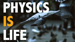 Physics is Life [upl. by Yzmar]