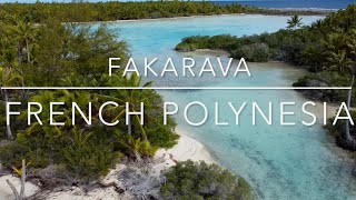 South Pacific Coral reef “Fakarava French Polynesia Scuba diving Paradise” [upl. by Eon]