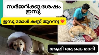 ഇസു മോളെ കാണാംഅവൾ കണ്ണ് തുറന്നു ❤️ [upl. by Vez]