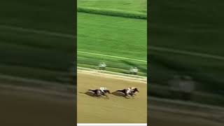 Throwback Thursday  Fusaichi Pegasus Kentucky Derby 126 victory [upl. by Yorker]