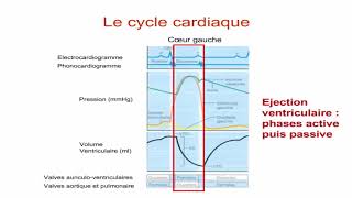 La pompe cardiaque le débit cardiaque et son contrôle [upl. by Schuman]