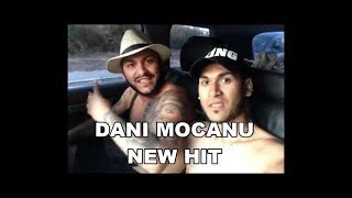 Dani Mocanu  Sefa sefelor  Official Audio [upl. by Jolda406]