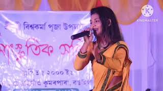 বাৰো মাসে তোৰো ফুল পোকে পাহি কাশ্যপৰ কন্ঠৰ জনপ্ৰিয় গানdoinikkamata [upl. by Burkhardt]