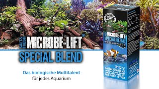 DER Weg für dein perfektes Aquarium  𝗠𝗜𝗖𝗥𝗢𝗕𝗘𝗟𝗜𝗙𝗧 𝗦𝗽𝗲𝗰𝗶𝗮𝗹 𝗕𝗹𝗲𝗻𝗱  Bakterien  100 biologisch [upl. by Euqinmod855]