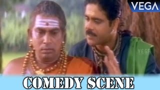 Annamayya Movie  Comedy Scene  Mallikarjuna Rao [upl. by Annoyk]