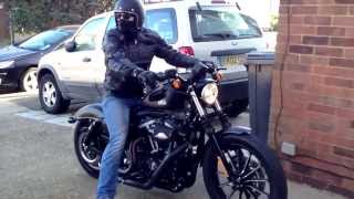 HarleyDavidson Iron 883 Sportster [upl. by Eliason441]