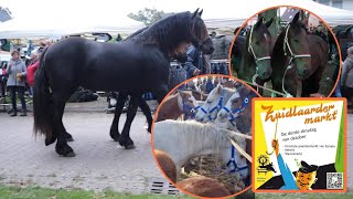 de BEROEMDE paardenmarkt ZUIDLAREN 171023 vlog138 [upl. by Harrad]