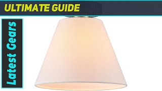 Globe Electric 1Light Ceiling Light A Stylish Addition [upl. by Ambrosane547]