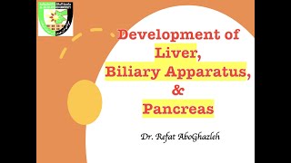 Development of Liver Biliary Apparatus amp Pancreas [upl. by Fritts]