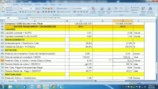 Cómo LEER E INTERPRETAR Estados Financieros de una Empresa de Capital Abierto  Parte II [upl. by Ellekcir]