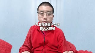 汽车突然闯入公园撞人又撞树 热点 正能量 凤凰卫视 最高人民检察院 河南警方 聊城检察 [upl. by Rehpretsirhc52]