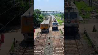 Rarest Colorful Trains crossing shorts [upl. by Enaamuj]