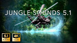 51 Jungle Sound  THX SurroundEX  4K HDR [upl. by Idnym388]