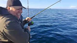 Catching a Granddaddy Hapuka on a Halco Paddle Prawn  ft Rob Parker [upl. by Blakely]