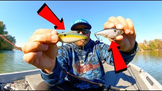 Lipless Crankbait Tricks You Need To Try  Stop Losing Fish [upl. by Enimsay901]