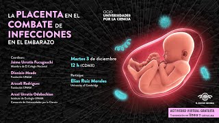 La placenta en el combate de infecciones en el embarazo I Universidades por la ciencia [upl. by Phip]