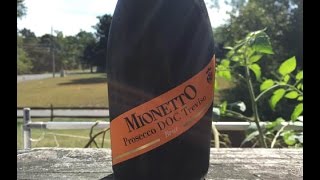 Wine Review Mionetto Prosecco Brut  TheWineStalkernet [upl. by Aratahc]