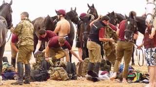 The Household Cavalry on Holkham Beach [upl. by Shererd588]