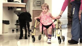 Medical Dog Helps Patients Recover with Play [upl. by Redford125]