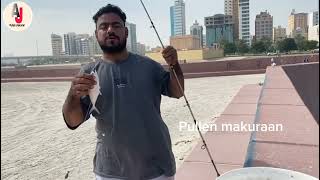 first time fishing in bahrain  fishing 🎣  pullen makuraan [upl. by Elaynad]