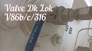 Valve Dk Lok V86bc316 [upl. by Ahsekin10]