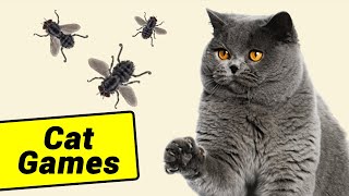 😻 Cat Games Fly Hunt 🪰 ★ Fly Videos for Cats [upl. by Hallimaj]