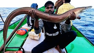 Catching Mangrove Jack Fish Blubber lip Snapper amp Eel Fish in the Deep Sea [upl. by Delores541]