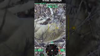 Wounded 11 Pt Buck  DJI Mavic 3T Thermal [upl. by Benita825]