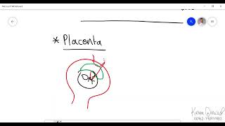 Embryology  Third Week of Development  Gastrulation [upl. by Assiluj]