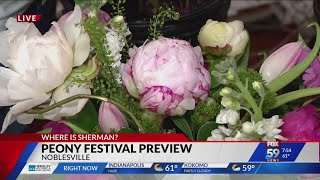 Where is Sherman Peony Festival Preview [upl. by Whitnell]