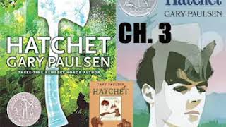 Hatchet  Audiobook Chapter 03 [upl. by Jeanie]