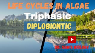 Life cycle in AlgaePart5 Triphasic Diplobiontic Triphasic [upl. by Darnok]