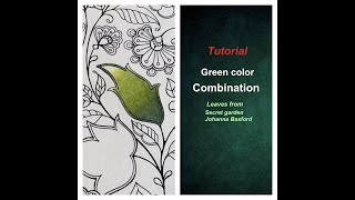 how to color leaves secret garden Johanna Basfordtutorial art drawing flowers artist artwork [upl. by Avehsile]