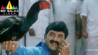 Palanati Brahmanaidu Movie Chittimallu Fight  Bala Krishna Sonali Bendre  Sri Balaji Video [upl. by Htur]