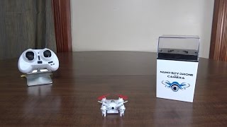 RC Leading  RC101C  Review and Flight [upl. by Shama]