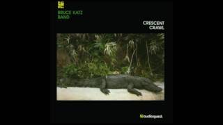 Bruce Katz Band  Crescent Crawl  1992  Contrition  Dimitris Lesini Blues [upl. by Ased]