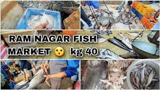 BIGGEST FISH MARKET IN HYDERABAD  RAM NAGAR [upl. by Labinnah997]