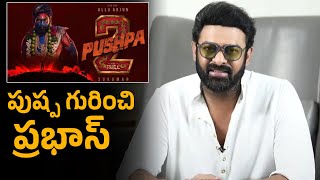 Prabhas Reaction On Allu Arjuns Pushpa Movie Success  Filmy Secrets [upl. by Weismann]