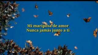 Mariposa traicionera  Maná ft Alejandro Fernández  Letra [upl. by Gnouhc]