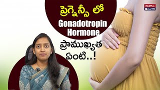 Gonadotropin Hormones in Pregnancy Separating Fact from Fiction l Dr Niharika MMedPlusONETV [upl. by Akiwak795]