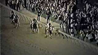 SECRETARIAT  1973 Preakness Stakes Alternate Footage [upl. by Eugirne719]