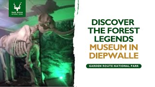 Forest Legends Museum amp Tea Garden  Diepwalle  Garden Route National Park [upl. by Mayhs]