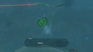 Korok seeds  Corvash Peak  Hebra Tower 46  Zelda BOTW [upl. by Bruning541]