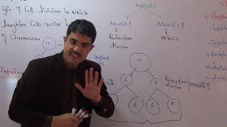 Meiosis in detail in Urdu Hindi by dr Hadi [upl. by Atteuqehs]