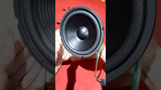 Acr 8 inch woofer sound infoceksoundterbaruhariini soundsystem speaker [upl. by Anerahs]